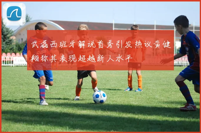 武磊西班牙解说首秀引发热议黄健翔称其表现超越新人水平