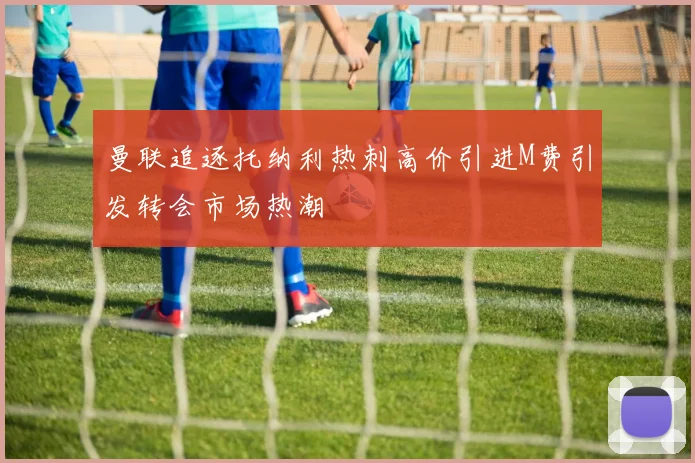 曼联追逐托纳利热刺高价引进M费引发转会市场热潮